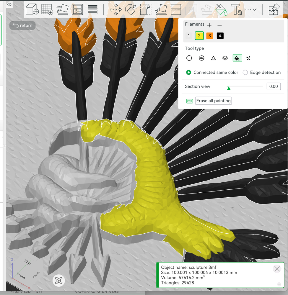 Coloring in the Skyfowl patch using Bambu Lab's software