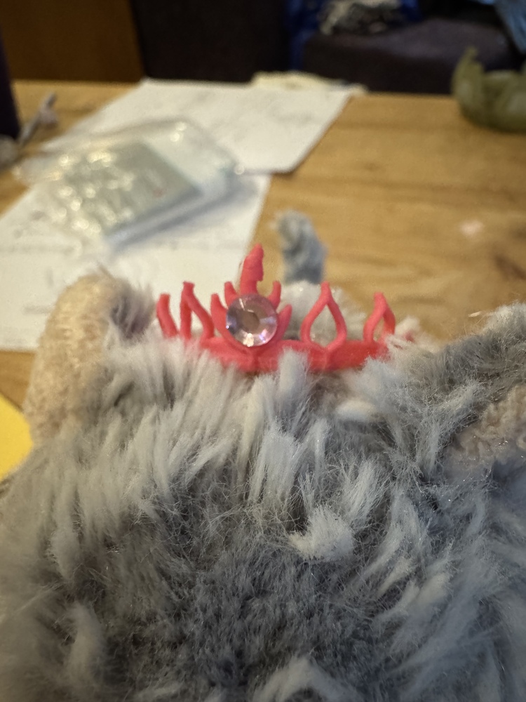 A closeup of Donut's tiara