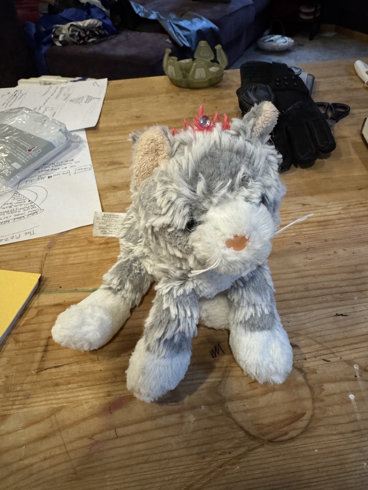 Grand Champion, Breed Winner Regional, National Winner Princess Donut the Queen Anne Chonk